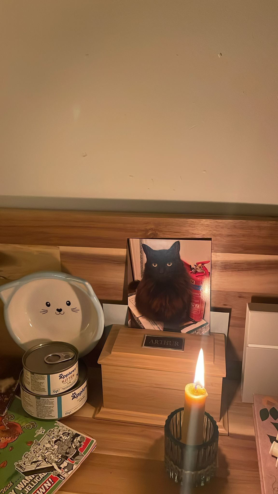 A cherished photograph of Arthur, the long-haired black cat, displayed at his memorial